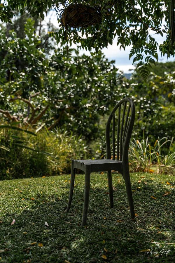 Horizon Hill Villa Pirae Bagian luar foto